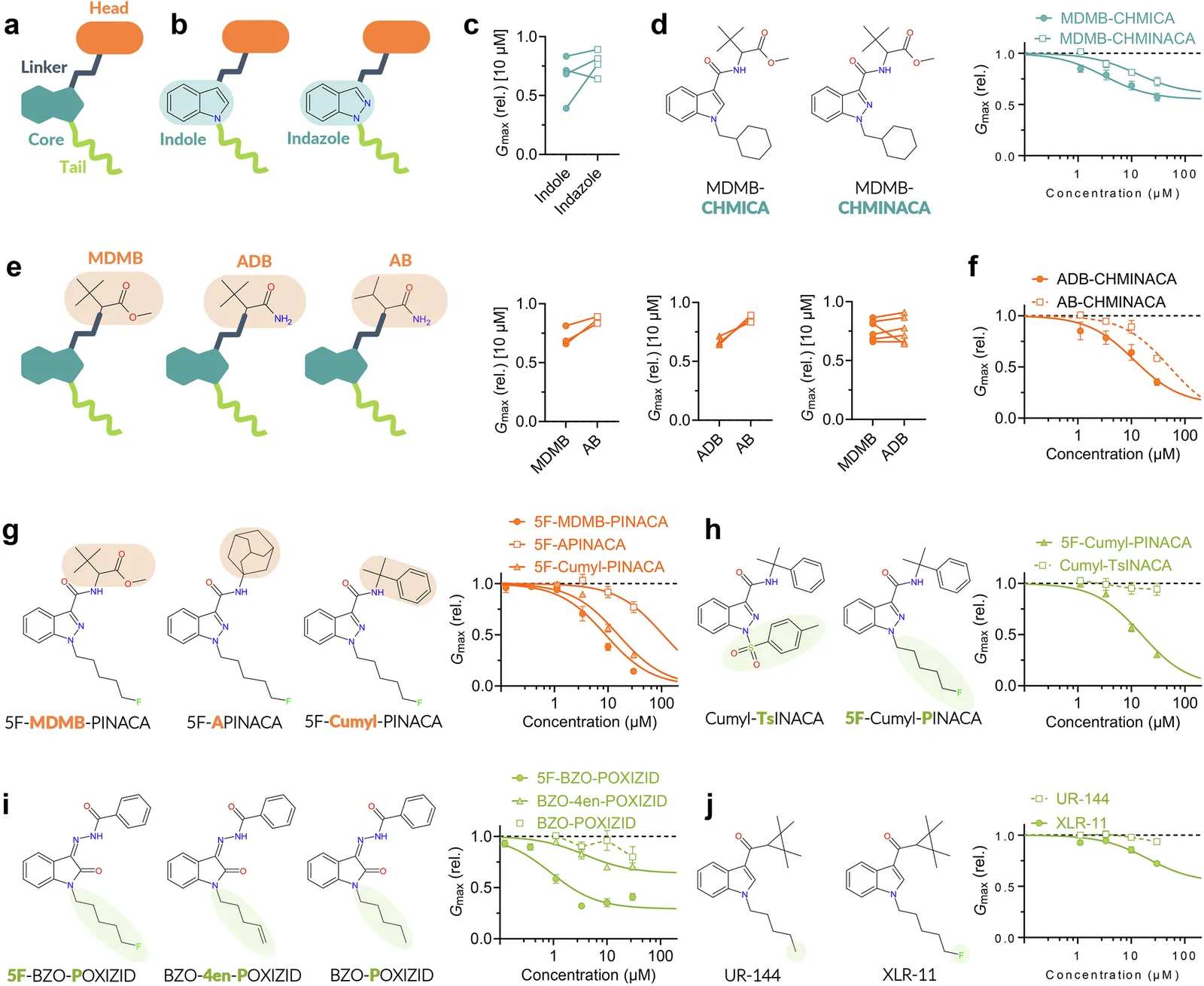 Chemical modifications to the SCRA building blocks impact hERG effects.a Schematic illustration of the four key building blocks of SCRAs colour coded as in subsequent illustrations. b Schematic illustration of SCRAs with indole and indazole cores, together with comparison of effect at 10 µM. n = 4–9. c, d Example of impact of core moiety on hERG inhibition, illustrated by MDMB-CHMICA and MDMB-CHMINACA. n = 4–5. Additional examples are shown in Fig. S4. e Schematic illustration of SCRAs with indicated heads, together with a comparison of the effect at 10 µM. n = 4–7. f Example of the impact of the head moiety showcased by ADB-CHMINACA and AB-CHMINACA for hERG inhibition. n = 4. Additional examples are shown in Fig. S4. g Molecular structures of three SCRAs with 5F-PINACA scaffolds and variable head groups, and concentration-response relationships for indicated SCRAs on hERG inhibition. n = 4–17. h Molecular structures of two SCRAs with Cumyl-INACA scaffolds and variable tails, and concentration-response relationships for indicated SCRAs on hERG inhibition. n = 4–7. i Molecular structures of three SCRAs with BZO-OXIZID scaffolds and variable tails, and concentration-response relationships for indicated SCRAs on hERG inhibition. n = 5–12. j Molecular structures of two SCRAs with variable tails, and concentration-response relationships for indicated SCRAs on hERG inhibition. n = 4–10. All average data are shown as mean ± SEM. Small error bars are covered by symbols. Best-fit parameters are provided in SI Table II; quality control criteria for fits are summarized in SI Table III.