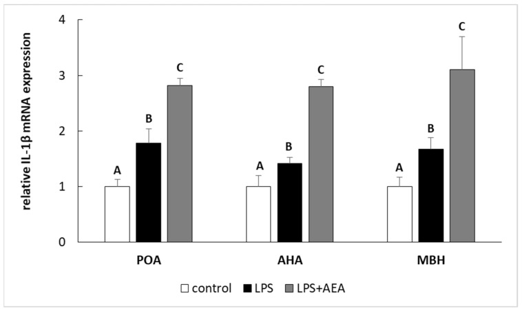 The effect of intravenous (i.v.) anandamide (AEA) injection (10 µg/kg; i.v.) and lipopolysaccharide (LPS)-induced inflammation (400 ng/mg; i.v.) on the relative interleukin (IL)-1β mRNA level in preoptic area (POA), anterior hypothalamus (AHA), and medial basal hypothalamus (MBH) normalized to the mean expression of three reference genes (GAPDH, HDAC1, ACTB—see Table 2.). All data are presented as the mean value ± S.E.M. Different letters indicate significant (p < 0.05) differences according to a one-way ANOVA followed by Fisher’s least significance test.