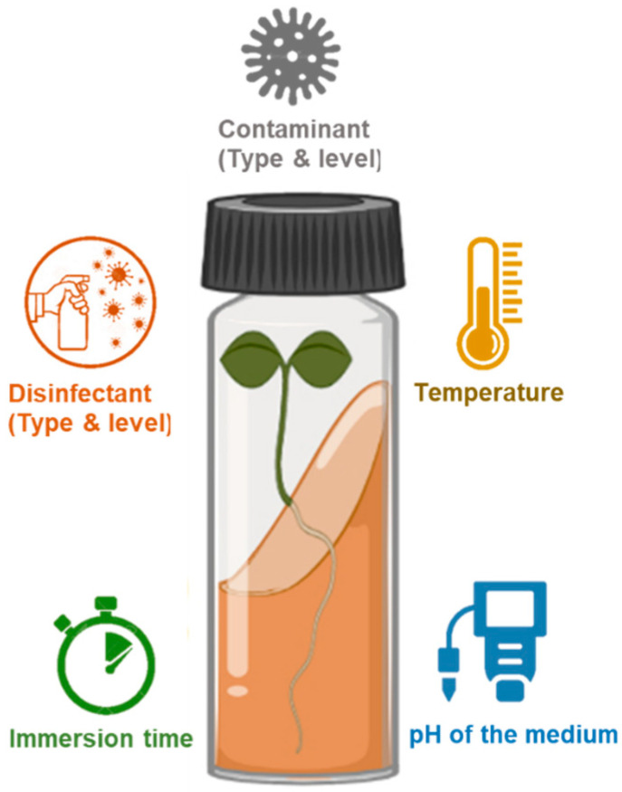 A schematic view of factors affecting the disinfection process.