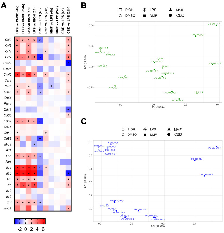 Transcriptomic profile of the lipopolysaccharide (LPS)-activated microglia cells treated with dimethyl fumarate (DMF), monomethyl fumarate (MMF), or cannabidiol (CBD). (A) Heat map representing the expression levels of genes related to inflammation. Gene expression levels are represented with the log2 of the fold change (FC), indicating the ratio of the gene expression in the LPS-treated cells compared to the vehicle or drug-treated cells compared to LPS. * p-adj < 0.05. (B,C) Principal component analysis of the gene expression profile of the LPS-activated microglia cells treated with 30 µM DMF, 30 µM MMF, 6 µM CBD, or their respective vehicles (DMSO or EtOH) for 4 h (B) and 24 h (C). Each condition presents experimental triplicates. The x-axis represents the first principal component (PC1), and the y-axis represents the second principal component (PC2). The percentages indicated in parentheses represent the percentages of variation explained by the principal components.