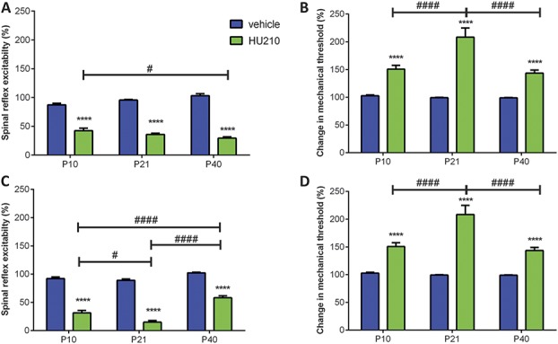 Effect of intraperiaqueductal grey (PAG) and rostroventral medulla (RVM) microinjection of HU210 (CB1/2 receptor agonist, 4 μg/animal) on withdrawal reflexes to mechanical von Frey hair stimulation in P10, P21, and P40 rats. (A) Intra-PAG HU210 significantly decreased spinal reflex excitability compared with vehicle responses in all ages tested (P < 0.0001; 2-way analysis of variance [ANOVA]). This effect was more pronounced in P10 animals compared with P40s. (B) Intra-PAG HU210 significantly increased mechanical thresholds in P21 and P40 rats (P < 0.0001; 2-way ANOVA). This effect is more pronounced in P21 and P40 animals compared with P10. (C) Intra-RVM HU210 decreased spinal reflex excitabilities compared with vehicle responses in all ages tested (P < 0.0001, 2-way ANOVA). This effect was strongest in P21 animals. (D) Intra-RVM HU210 significantly increased mechanical thresholds compared with vehicle responses in all ages tested (P < 0.0001, 2-way ANOVA). This effect was strongest for P21 animals. Four to 8 animals per drug per age group. Data shown here represent the mean ± SEM. **** = P < 0.0001, between drug comparisons, 2-way ANOVA with Bonferroni multiple comparisons. # and #### = P < 0.05 and P < 0.0001, respectively, between age comparison, 2-way ANOVA with Bonferroni multiple comparisons.