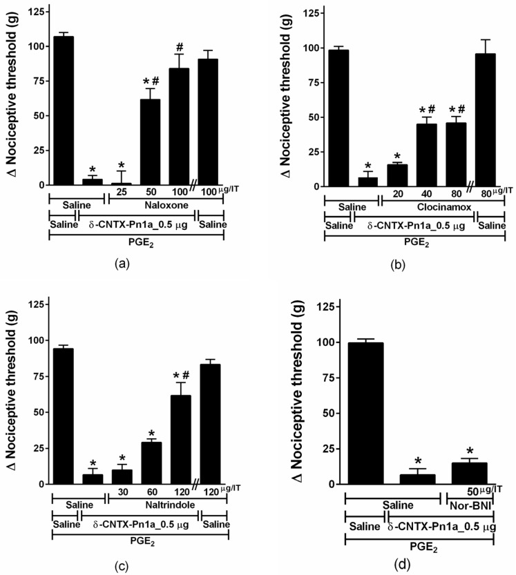 Effect of opioid antagonists on δ-CNTX-Pn1a antinociception following prostaglandin E2-induced hyperalgesia. Rats received Naloxone (a); Clocinamox (b); Naltrindole (c) or Nor-BNI (d) through intrathecal route 2 h and 25 min after prostaglandin E2 (PGE2) injection (2 µg/paw). δ-CNTX-Pn1a, 0.5 μg (0.1 nmol) or saline (control) were intrathecally injected 30 min after the antagonists. Nociceptive threshold was measured 5 min after toxin or saline injection. Vertical bars represent MEAN ± SEM. n = 4 rats per group. Data were analyzed using ANOVA and Bonferroni post-test. p < 0.05 compared to PGE2 + Saline (*) or PGE2 + δ-CNTX-Pn1a + Saline (#).