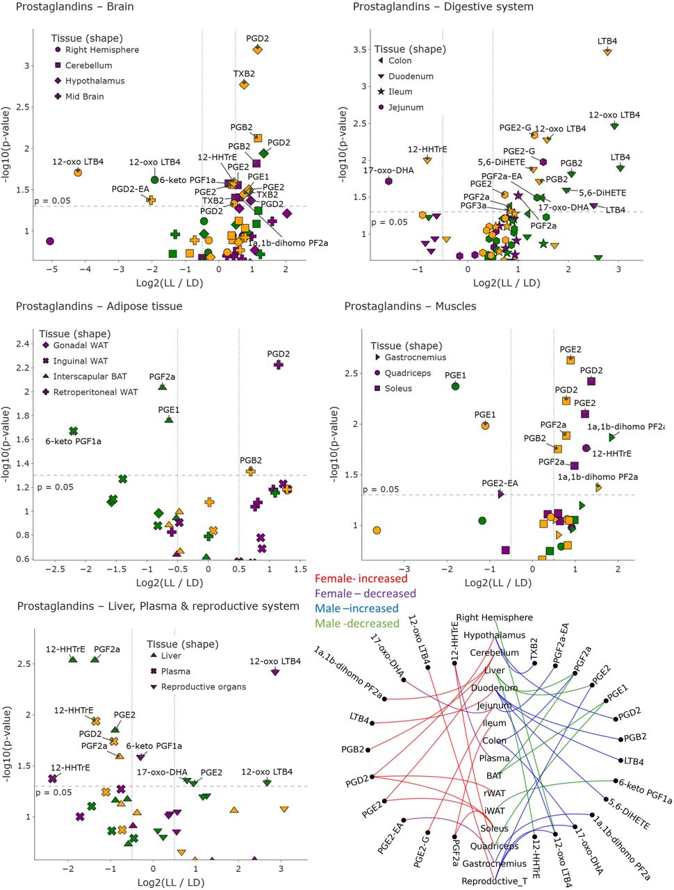 Volcano plot of PGs; volcano plot showing differential levels of prostaglandin (PG) between LL and LD across all tissues analyzed. Each point represents one PG measured in a specific tissue, with symbol shapes indicating the corresponding organ. Data are stratified by sex: females (purple), males (green), and combined (merged sexes; yellow). The x-axis shows the log□ fold change (LL/LD) and the y-axis shows the –log□□(p-value). Molecules above the dashed horizontal line reached nominal statistical significance (p < 0.05). Labels highlight representative significant lipid mediators in each tissue. Chord Diagram (summary figure of PG changes; bottom right); Significant PGs changes across tissues in female and male mice under constant light exposure. Tissue nodes are aligned vertically, molecules appear on sex-specific arcs, and curves indicate LL-vs-LD regulation colored by sex and direction.