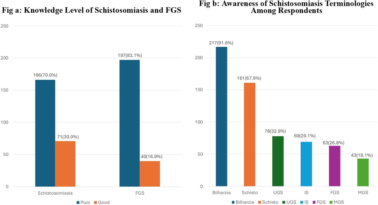 Awareness and Knowledge level of Schistosomiasis and FGS.*FGS - Female Genital Schistosomiasis, Schisto – Schistosomiasis, UGS - Urogenital Schistosomiasis, IS – Intestinal Schistosomiasis, MGS – Male Genital Schistosomiasis.