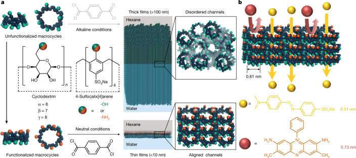 Fabrication of ultrathin polyamide nanofilms incorporating aligned macrocycles.a, Amino-functionalized macrocycles synthesized from unfunctionalized hydroxyl precursors, cyclodextrin or 4-sulfocalix[4]arene sodium salt. An ultrathin polyamide nanofilm incorporating aligned macrocycle channels was created at a free interface between an aqueous solution containing amino macrocycles and a hexane solution containing acyl chloride, in contrast to a thick film incorporating disordered channels fabricated from the unfunctionalized macrocycles. b, Schematic demonstrating molecular sieving through nanofilms incorporating aligned macrocycles.