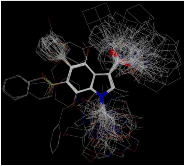 The superimposed structure of all compounds used in the CoMFA models.