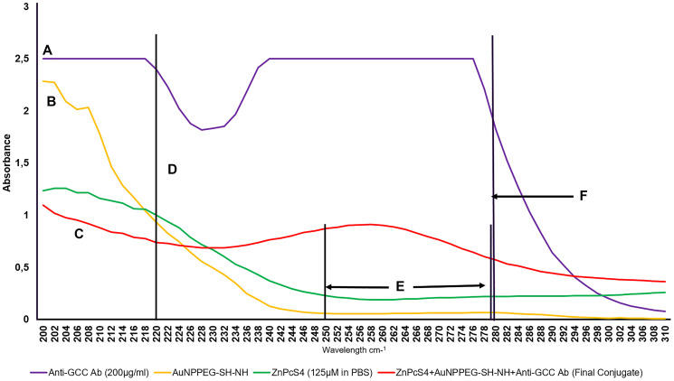 UV-Visible protein direct absorption spectra of the FNBC and controls within 200 to 310 nm spectral region.(A) Amine NH2 195 nm group on Ab N’terminal, (B) Amine NH2 195 nm group on functionalized AuNPPEG-NH2, (C) Amine NH2 195 nm group on final conjugate Ab N’terminal (Ab functional), (D) Peptide/amide bond 220 nm of FNBC (Functionalized AuNPPEG-NH2 lost amine group to bond with carboxyl C-terminus of Ab and form a peptide bond), (E) Di-sulphide bond 250 to 280 nm (FNBC higher UV-Vis spectral absorption than AuNPPEG500-SH-NH2 and ZnPcS4 à ligand absorption between the sulphonated PS and AuNPPEG500-SH, creating di-sulphide bond) and (F) Anti - GCC Ab Protein 280 nm 200 μg/ml (6.47 times higher absorbance than FNBC – suggesting final concentration of Ab on conjugated molecule is 30.91 μg/ml).