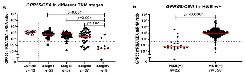 (A) GPR55/CEA mRNA ratio in lymph nodes from non-cancerous disease patients (control) and colon cancer patients in different TNM stages (Stage I–IV). (B) GPR55/CEA mRNA ratio in metastatic (H&E(+)) and non-metastatic (H&E(−)) lymph nodes. Red horizontal lines indicate median values. Dashed horizontal line shows clinical cutoff equal to 0.1481 GPR55 mRNA/CEA mRNA ratio and (n) number of lymph nodes. p-Values were calculated by Kruskal–Wallis non-parametric ANOVA, followed by post hoc Dunn’s test for multiple comparisons in (A) and by two-tailed Mann–Whitney test for comparison between expression levels in (B).