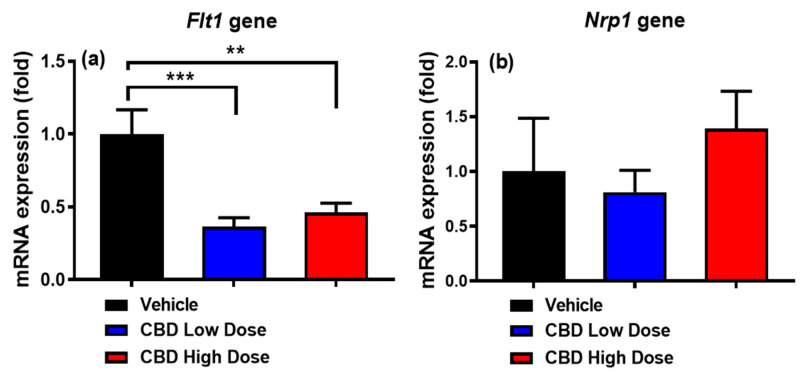 Changes in expression of Flt1 (a) and Nrp1 (b) genes in the jejunum of rats across the three groups. Data are presented as means ± SEM. Vehicle group: black column (n = 8); low-dose CBD group (10 mg/kg): blue column (n = 10); high-dose CBD group (30 mg/kg): red column (n = 10). ** p < 0.01, *** p < 0.001.