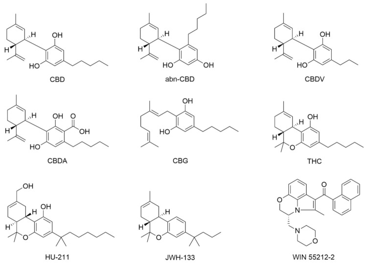 Chemical structures of cannabinoids and their synthetic analogs discussed in this review.