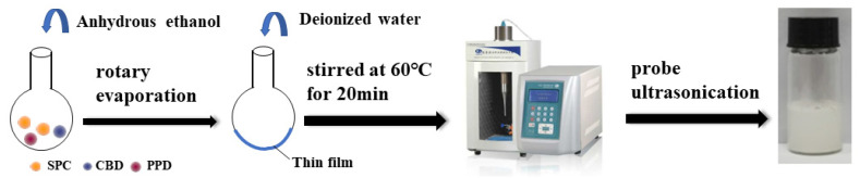 The preparation of CP-liposomes and GMCP-liposomes.