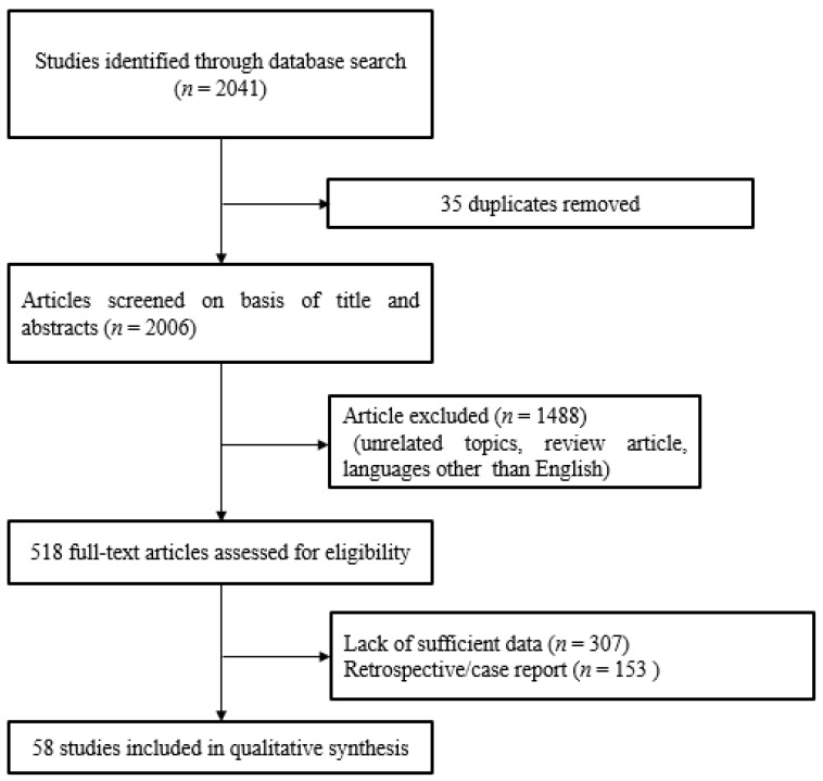 Flowchart of study selection according to PRISMA guidelines.