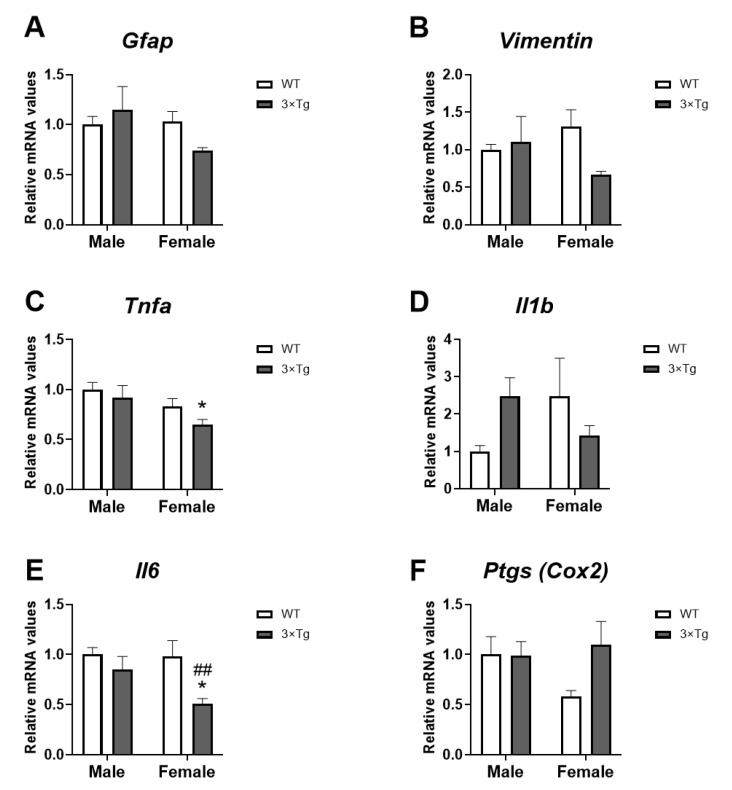 Inflammation markers’ mRNA expression: Gfap (A), Vimentin (B), Tnfa (C), Il1b (D), Il6 (E), and Ptgs (F) in hippocampal astrocytes from offspring born to 3Tg-AD and non-Tg (WT) mice. Data are expressed as the mean ± S.E.M. Tukey’s or single-effect analysis: * p < 0.05 vs. males (sex difference); ## p < 0.01 vs. same-sex WT group.