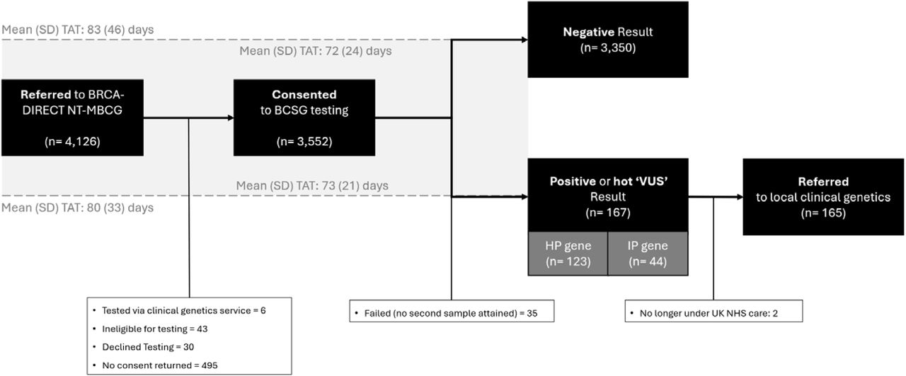 Patient flow diagram