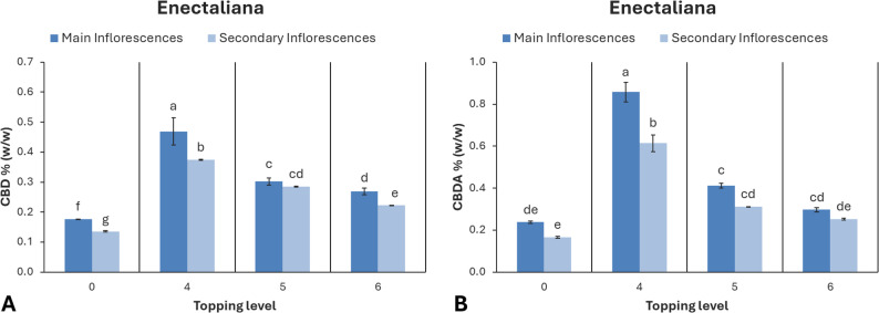 Cannabinoid content of hemp cultivar ‘Enectaliana’ under different topping levels