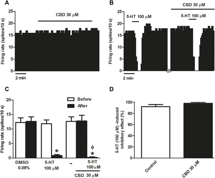 Effect of CBD on the firing rate of DRN 5-HT cells and on 5-HT-induced inhibition. (A,B) Representative examples of firing rate recordings from two DRN cells, which show the effect of CBD (30 μM) on the firing activity of 5-HT neurons (A) and the effect of CBD (30 μM) on 5-HT (100 μM)-induced inhibition (B). Vertical lines refer to the integrated firing rate values (spikes per 10 s) and the horizontal lines represent the time scale. Drugs were perfused at the concentration and for the time indicated by the horizontal bars. ACSF was applied in the continuous presence of the vehicle (DMSO 0.08%). (C) Bar histograms showing the firing rate of 5-HT cells (mean ± SEM) before and after perfusion with the vehicle (DMSO 0.08%, n = 5), 5-HT (100 μM) (n = 5), CBD (30 μM) (n = 5), and CBD (30 μM) + 5-HT (100 μM) (n = 5). (D) Bar histograms showing the percentage of 5-HT (100 µM)-induced inhibition from the basal firing rate (mean ± SEM) in the absence and presence of CBD (30 μM) (n = 5). *p < 0.005 compared with the firing rate before drug application by paired Student’s t-test. ΦP < 0.005 compared with the firing rate after administration of CBD (30 μM) in the absence of 5-HT by paired Student’s t-test.