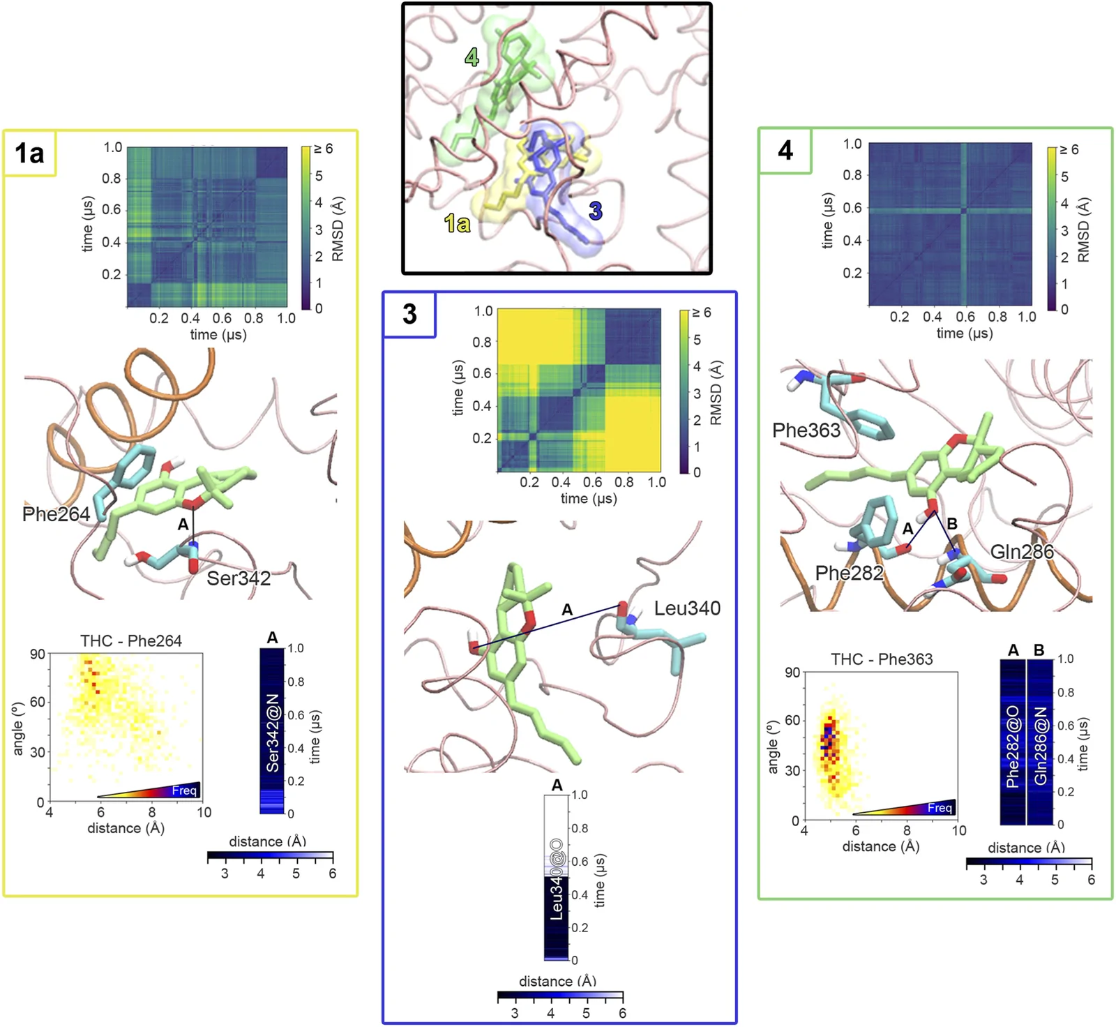 Panel illustration comparing three protein structural states, each labeled as 1a, 3, and 4, highlighted in yellow, blue, and green boxes. Each panel contains a root mean square deviation (RMSD) heatmap matrix, a 3D molecular structure with labeled residues and ligand orientations, scatter plots showing angles and distances, and bar charts indicating residue-atom distances over time. The central inset summarizes all state regions in context atop the protein backbone.