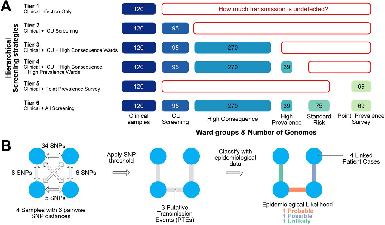 Diagram of screening strategy stratification and methodology for identifying and classifying Putative Transmission Events (PTE). Hierarchical stratification of active screening strategies and number of MDRO cases in each tier (A). Method for performing pairwise comparisons between all samples, identifying putative transmission events (PTE) by applying a SNP threshold and subsequently classifying PTE by incorporating epidemiological data (B).