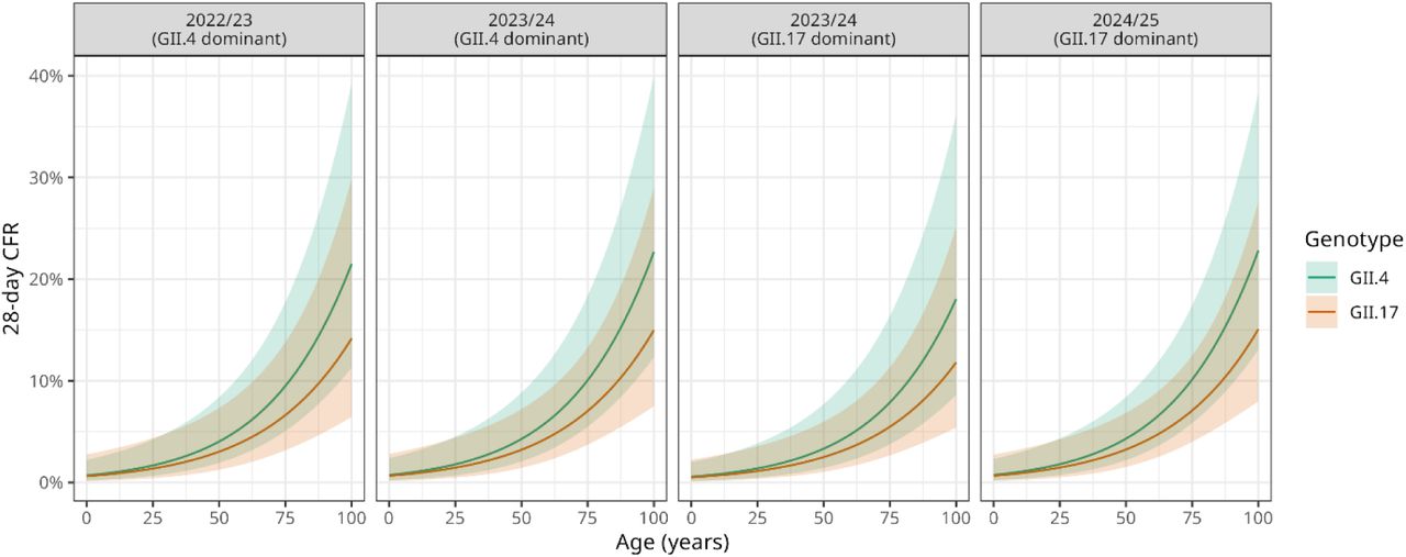 Predicted age-varying case fatality risk (CFR) within 28 days of a positive test with 95% confidence intervals by genotype and time period using MOLIS-deaths data, for tests taken in the modal region (North West). Time period facets were chosen to reflect periods of peak activity in each season. Two time periods are shown for the 2023/24 season to reflect periods of GII.4 or GII.17 dominance. In order, the time periods refer to test results with specimen date in the calendar quarter beginning January 2023, January 2024, April 2024 and January 2025.
