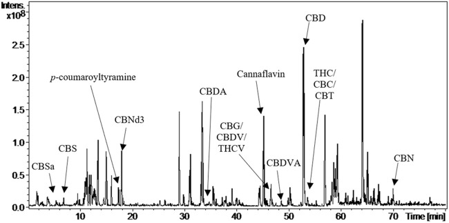 A chromatogram displaying intensity versus time with labeled peaks for various compounds. Peaks include p-coumaroyltyramine, CBSa, CBNd3, CBDA, CBG/CBDV/THCV, CBDVA, cannaflavin, CBD, THC/CBC/CBT, and CBN. Each peak is marked with arrows.