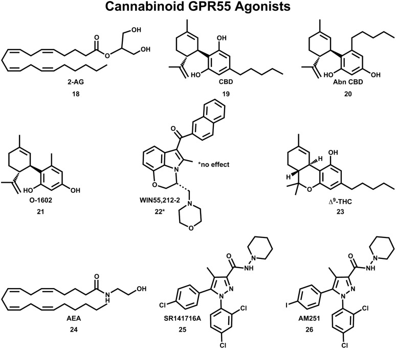 Cannabinoid agonists that activate GPR55 are shown here.