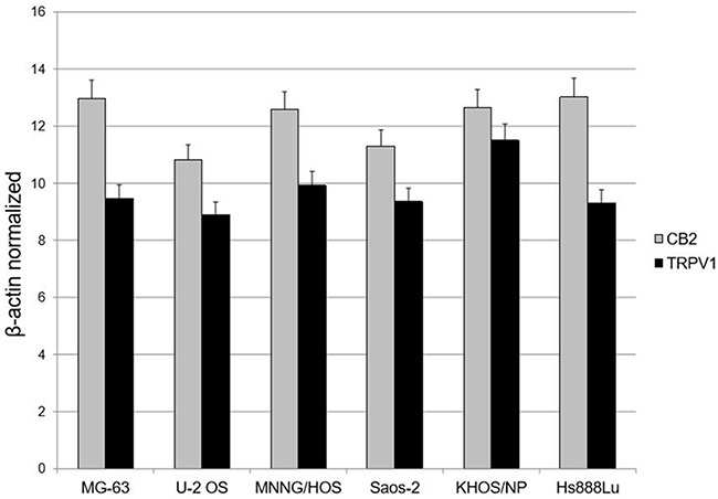 EC/EV receptors’ expression in OS cell linesOS cell lines express the Cannabinoid receptor type 2 (CB2) and the Transient Receptor Potential Vanilloid type-1 (TRPV1). Data have been revealed by Q-PCR, starting from 1000 ng of total mRNA for the RT reaction. Results were normalized for the housekeeping gene β-actin and were showed as mean ± SD of three independent experiments.