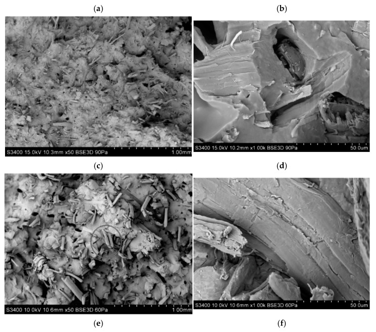 SEM photographs of fractures of PHBV composites: H15TWIN—(a) magn. 50×, (b) magn. 1000×, H15SINGLE—(c) magn. 50×, (d) magn. 1000×, F15TWIN—(e) magn. 50×, (f) magn. 1000×, F15SINGLE—(g) magn. 50×, (h) magn. 1000×.