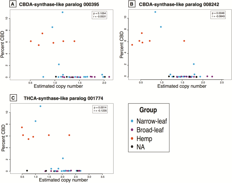 Correlations between the percent CBDA and the estimated CN for the three CBDA/THCA synthase paralogs. Two CBDAS-like genes (panels A and B) and one THCAS-like gene (panel C) correlated to CBDA production. All correlations are negative and those shown in (B) and (C) are significant. Correlation coefficient and P-values in the inset after correction for relatedness. All correlation values between all genes and all cannabinoids are given in Supporting Information—Tables S5 and S6, respectively.