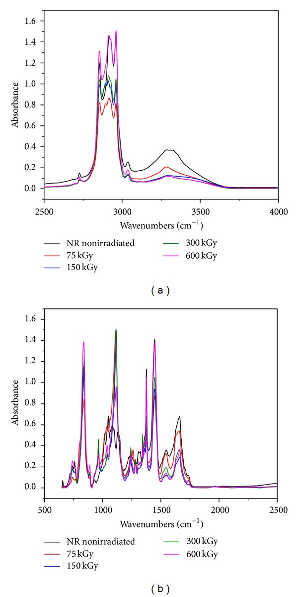 FTIR spectra for NR/hemp mixtures with 10 phr hemp content: (a) between 2500–4000 and (b) between 500–2500.