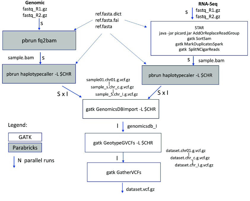 Genomic and RNA-Seq Variant calling pipeline using GATK and Parabricks. Parabricks was used in the whole genome sequences, while GATK was used in the RNA-Seq variant calling of samples. GATK GenomicsDB was used to merge and genotype all samples jointly. The pipeline is optimized for the shortest wall time while maintaining sensitivity using high-performance computing environments with graphic processing units. Tasks are split and distributed whenever possible by the S samples and I genomic intervals. Each chromosome is considered as one interval, while all unassembled contigs are combined as one interval.