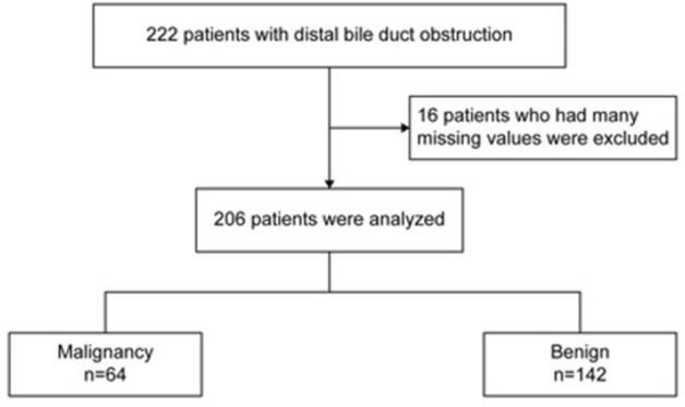 Flowchart of this study.