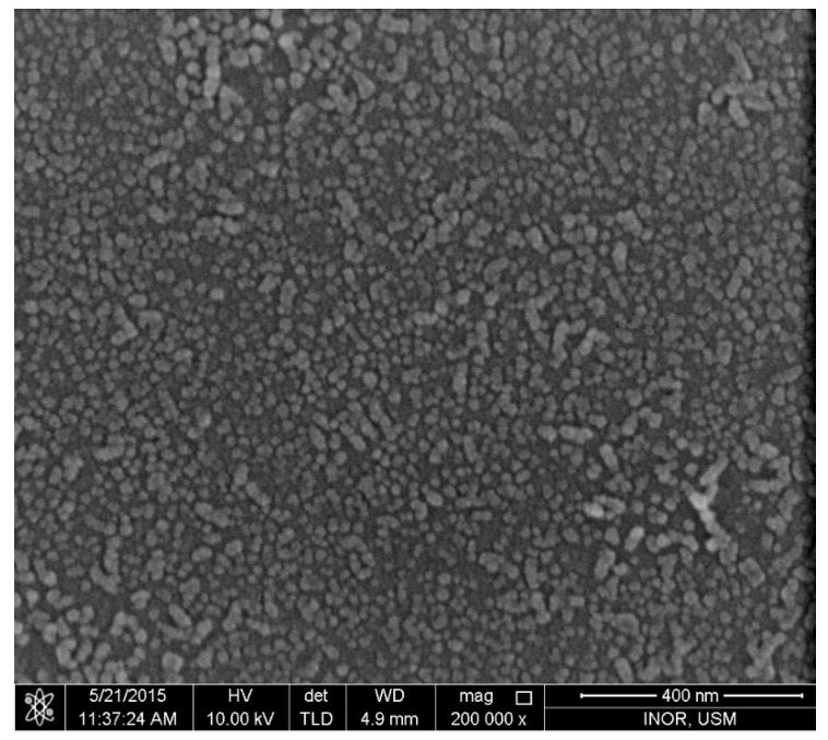 The ZnO nano-seed layer deposited on glass substrates before fabricating ZnO nanorods (NRs) on it.