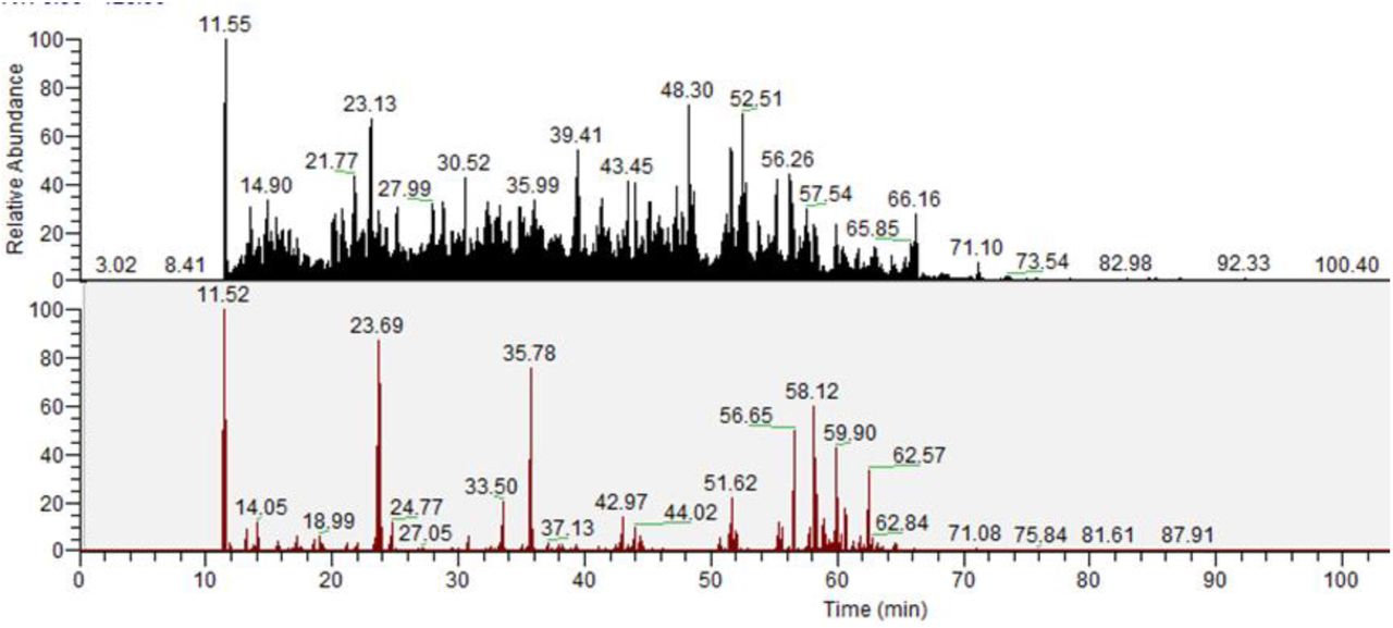(Top pane) The total ion chromatogram from an arbitrarily chosen file from this study. (Bottom pane) The same chromatogram filtered to display only the signal of MS/MS produced ions within 5 ppm of the HexNaC diagnostic ion (204.0866)