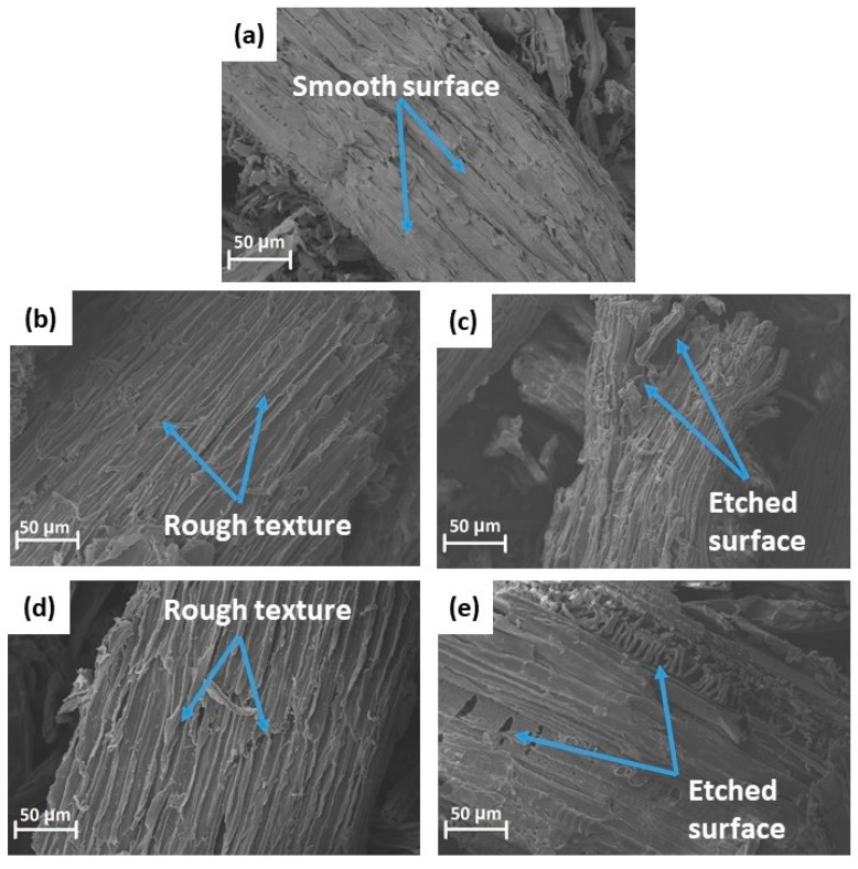SEM micrographs of untreated hemp hurd powder (a), treated hemp hurd powder exposed to one and three cycles of alkaline treatment ((b,c) respectively), and hemp hurd powder exposed to one and three cycles of alkaline/peroxide treatment ((d,e) respectively).