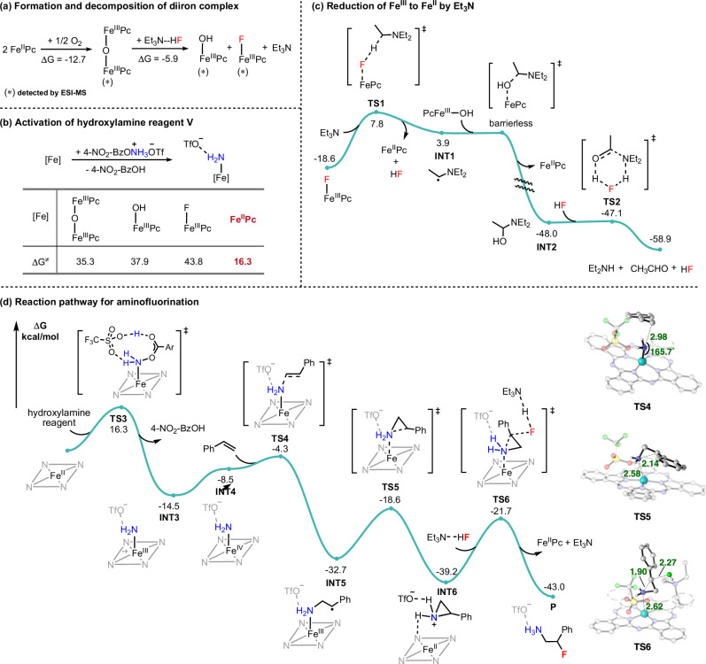 Mechanistic investigations.a Thermodynamic data for the formation and decomposition of diiron complex. b Activation of hydroxylamine reagent by different iron species. c Free energy profile for the reduction of FeIII to FeII by Et3N. d Free energy profile for the iron-catalyzed aminofluorination of alkenes, including 3D structures for the key transition states. Energies and distances are presented in kcal/mol and angstroms (Å), respectively.