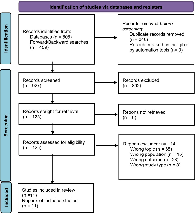PRISMA flow diagram