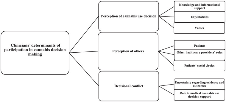 Concept diagram showing determinants of clinicians' decisions in medical cannabis shared decision-making, including knowledge, perceptions, and conflicts.