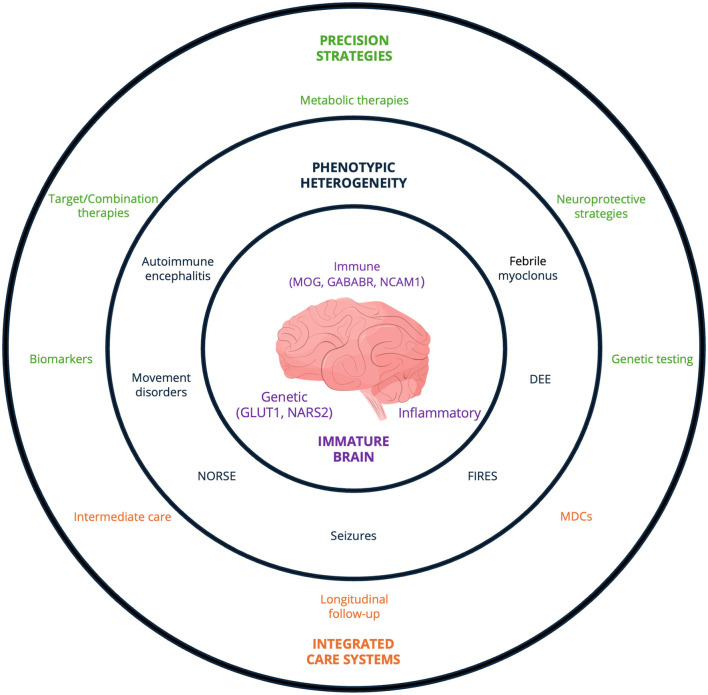 Diagram with concentric circles displaying relationships in pediatric brain disease. The innermost circle contains a pink brain labeled “Immature Brain” with genetic, immune, and inflammatory factors. Surrounding circles highlight phenotypic heterogeneity, symptoms, and terms like autoimmune encephalitis, seizures, and FIRES. The outer circles emphasize integrated care systems and precision strategies, mentioning longitudinal follow-up, biomarkers, genetic testing, and neuroprotective strategies.