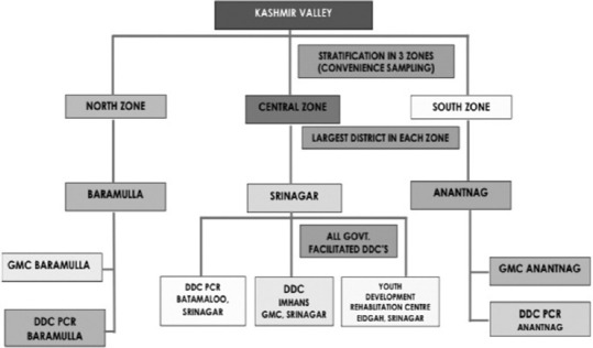 Stratification of Kashmir Valley into three zones and distribution of drug de-addiction facilities for convenience sampling