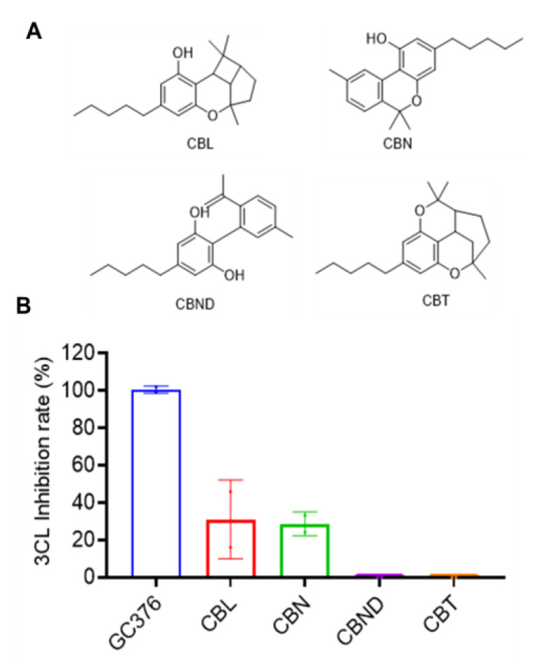 The chemical structures of other types of cannabinoids (A) and their inhibitory effect on the activity of SARS-CoV-2 Mpro (B). These cannabinoids were tested at a concentration of 10 μM with the MBP-tagged SARS-CoV-2 Mpro inhibition assay. GC376 was used as the positive control and each test compound was assayed in triplicate.