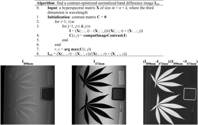 (Top) Algorithmic procedures of finding a contrast-optimized, normalized band difference image from a hyperspectral datacube. (Bottom) The images at 898 nm and 474 nm and the corresponding normalized band difference image that exhibits the optimal contrast.