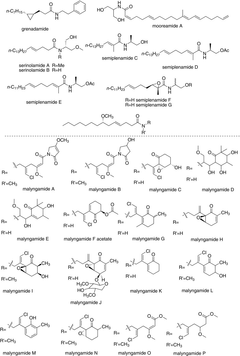 The structures of cannabinomimetric lipids
