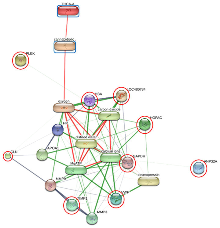 Interaction network diagram visualizing relationships among chemical compounds, proteins, and genes with nodes in various colors, connected by red and green lines indicating interaction types; some nodes are highlighted with a red circle for emphasis.