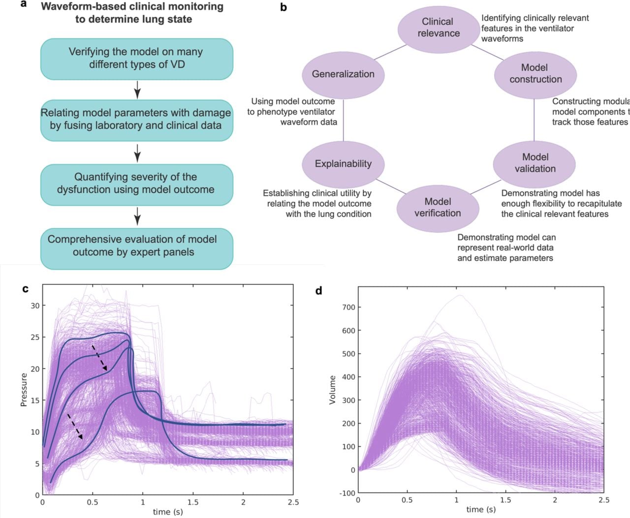 (a) Describing a waveform-based clinical monitoring framework for identifying and quantifying different types of VD breaths. (b) A schematic diagram summarizing the earlier work where we developed a physiologically anchored data-driven model, intending to reproduce ventilator waveform data and, in doing so, infer injured lung dynamics [30]. The model takes, as a baseline, ideal pressure and volume waveforms and then adds functional terms that correspond to particular deformities in the waveform, which are often linked to the physiological states of the lung by clinicians [19]. (c-d) Representative recorded (c) pressure and (d) volume waveform signals of normal (NL) and flow-limited (FL) breaths for an ICU patient ID 104 (see Methods). The scooping (black arrow) in the pressure signal coincides with patient effort when the flow is not adequate and could be used to identify and quantify the FL-VD breaths [32]. During the treatment, the ventilator was operated in Adaptive Pressure Ventilation - Controlled Mechanical Ventilation (APVCMV) mode [16].