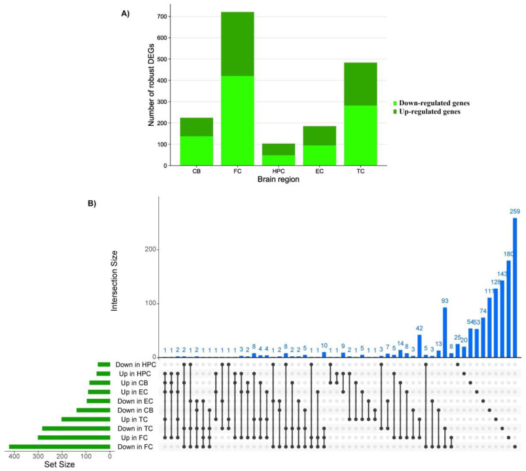 (A) Number of down and up-regulated robust genes in each brain region; (B) upset plot indicates the overlap of robust differentially expressed genes with either increased or decreased abundance in different brain regions; DEGs, differentially expressed genes; CB, cerebellum; FC, frontal cortex; HPC, hippocampus; EC, entorhinal cortex; TC, temporal cortex.