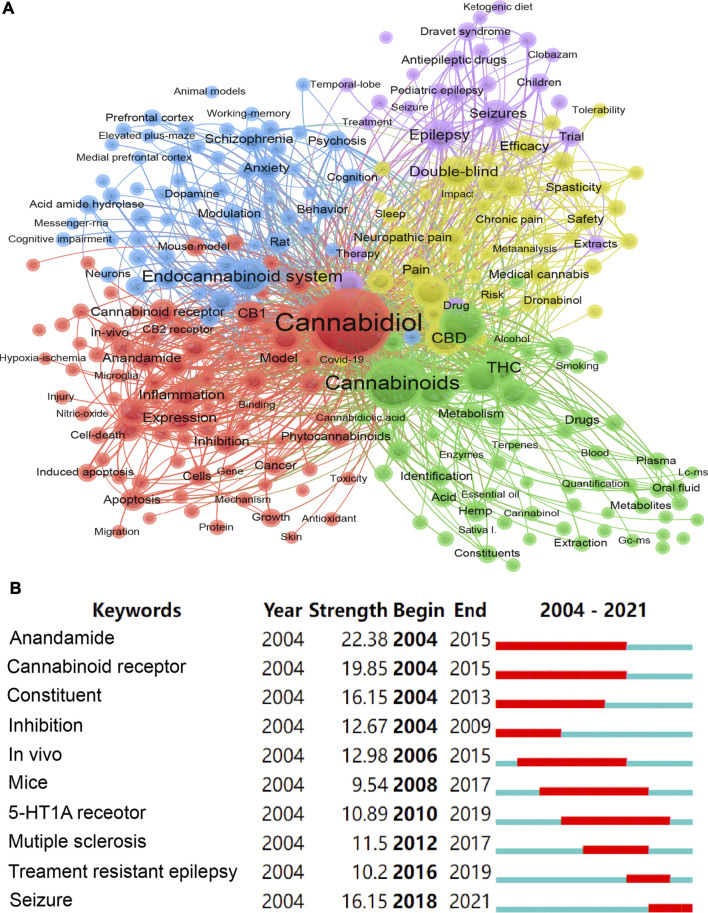 Keywords analyses. (A) The network of the keywords co-occurrence and clustering. (B) The top 10 keywords with the strongest bursts.