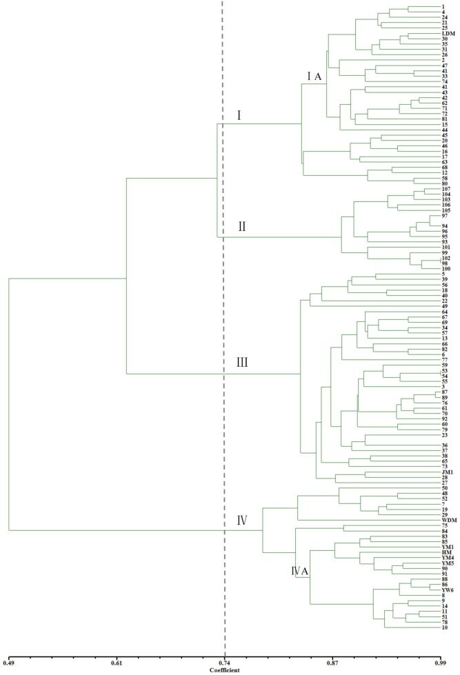 Dendrogram derived using UPGMA cluster analysis based on the SSR genetic similarity coefficient for 115 cannabis varieties.