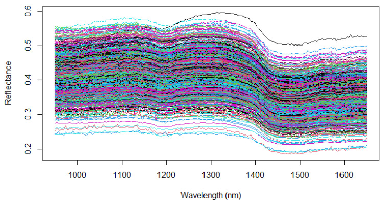 Raw near-infrared spectra of the 890 whole inflorescences with wavelength ranges from 950 to 1650 nm in the reflection mode. Each color spectrum represents the spectral signature across the wavelength range per sample.