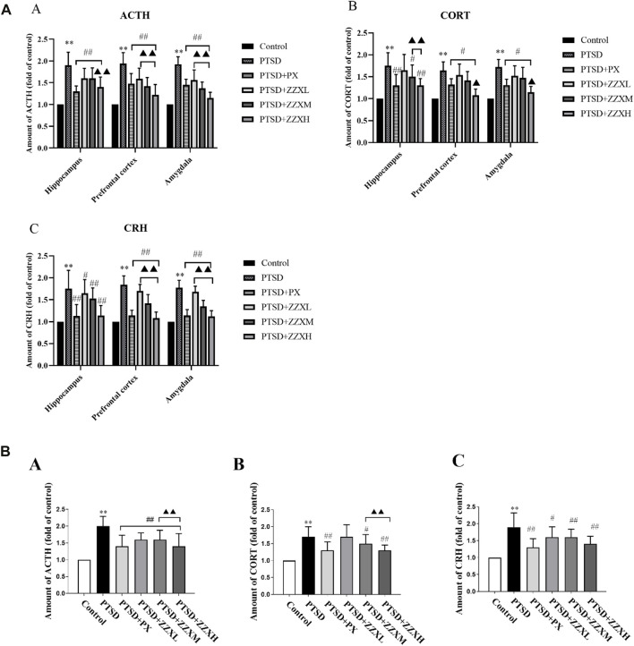 (A) Effects of ZZX treatment on ACTH, CORT, and CRH (A, B, C) levels in different brain regions of mice. Values are expressed as (mean ± SEM, n = 10–15). *p < 0.05, **p < 0.01 vs control group. # p < 0.05, ## p < 0.01 vs PTSD group. ▲p < 0.05, ▲▲p < 0.01 vs ZZXM group. (B) Effects of ZZX treatment on ACTH, CORT, and CRH (A, B, C) levels in serum of mice. Values are expressed as (mean ± SEM, n = 10–15). *p < 0.05, **p < 0.01 vs control group. # p < 0.05, ## p < 0.01 vs PTSD group. ▲p < 0.05, ▲▲p < 0.01 vs ZZXM group.