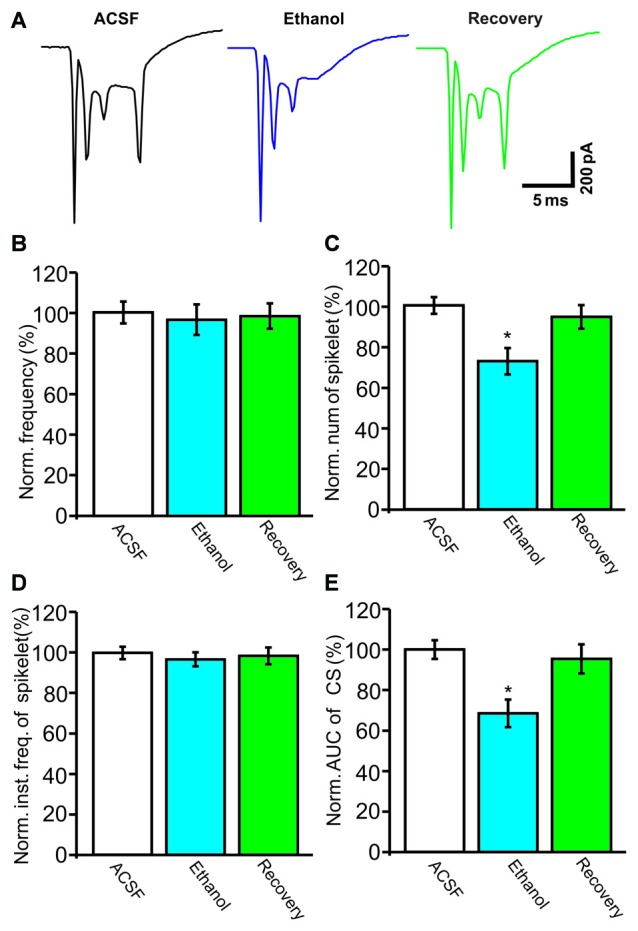 Under voltage-clamp recording conditions, ethanol inhibits the spontaneous complex spike (CS)-evoked inward currents. (A) Representative traces showing the properties of the CS-evoked inward currents in a PC in the presence of ACSF, ethanol (300 mM) and washout. (B) Bar graph shows the effect of ethanol on the frequency of CSs. (C) Pooled data showing the effect of ethanol on the number of CS spikelets. (D) Bar graph shows the effects of ethanol on the instantaneous frequency of spikelets. (E) Summary of data showing the normalized area under the curve (AUC) of CSs in ACSF, ethanol (300 mM) and washout. n = 8 cells per group. *P < 0.05, vs. ACSF.